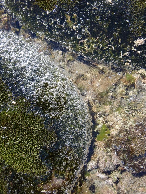 bubblesmats